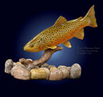 13" Brown Trout Wood Carving  